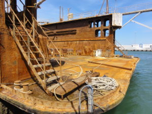 HANSTHOLM HAVNEFORUM