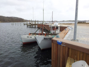 Case-Kalvø-Havn-Kajrenovering-A1-Consult