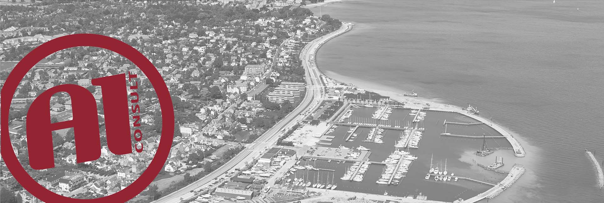 A1-Consult-header-ydelser