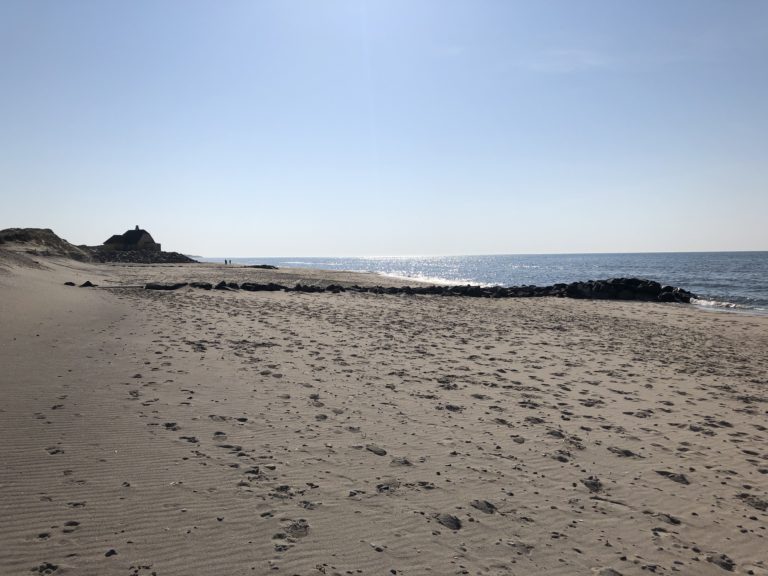 Gl. Skagen, Kystsikring