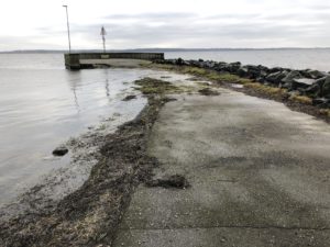 JAMMERBUGT KOMMUNE, TILSTANDSVURDERING af 3 HAVNE