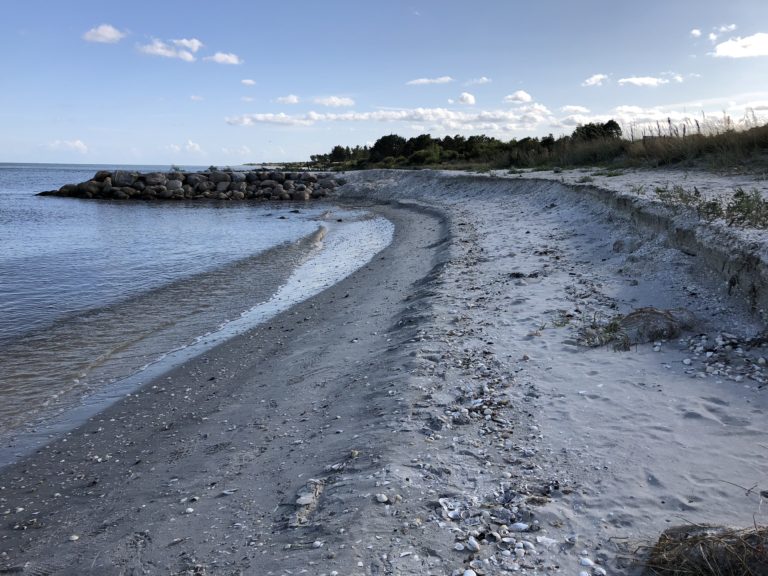 SÆBY SYD, KYSTBESKYTTELSE